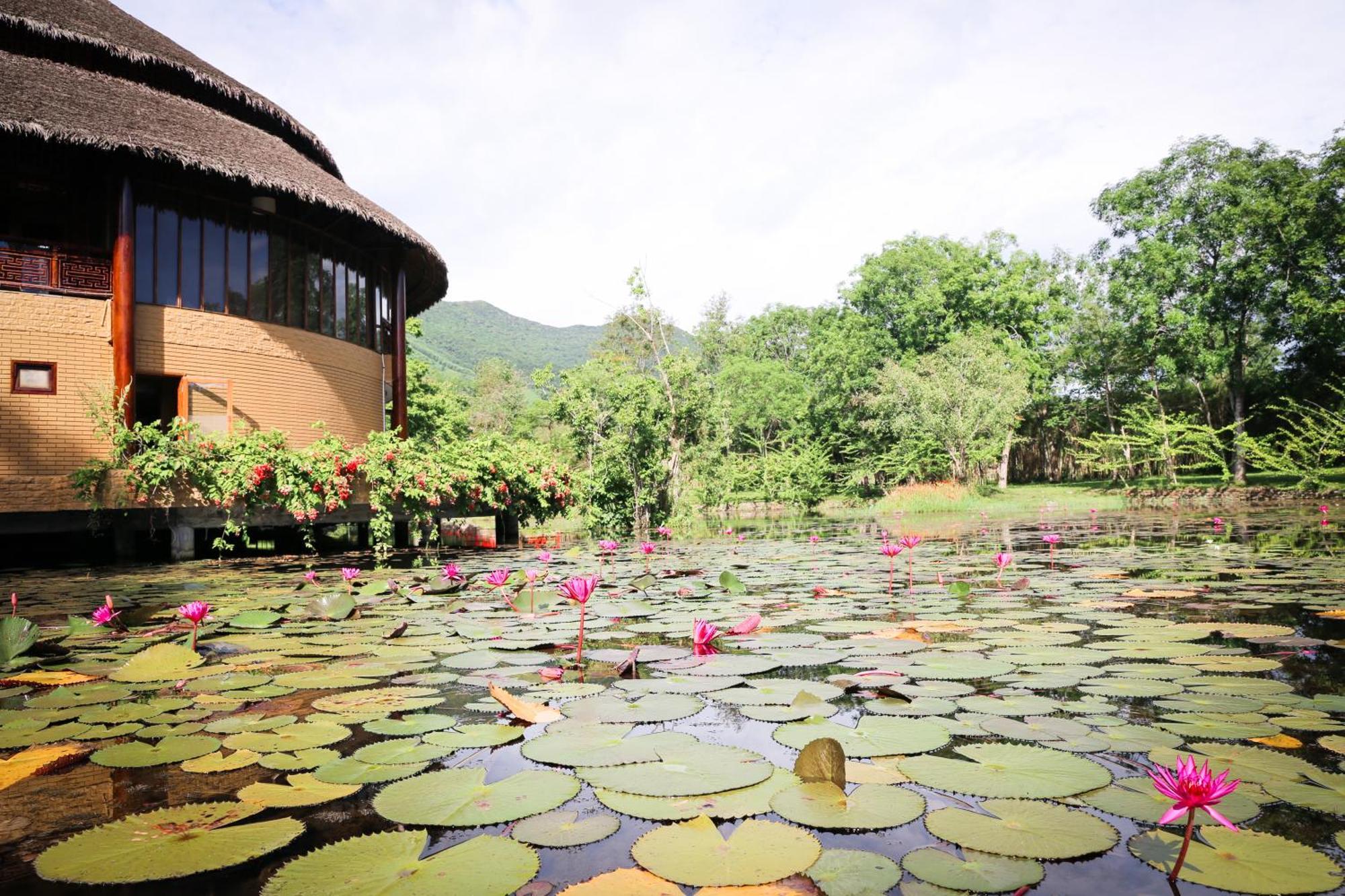 Alba Wellness Resort By Fusion Hue Bagian luar foto